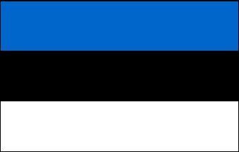 Foto - FLAG OF ESTONIA, 25 x 39 cm